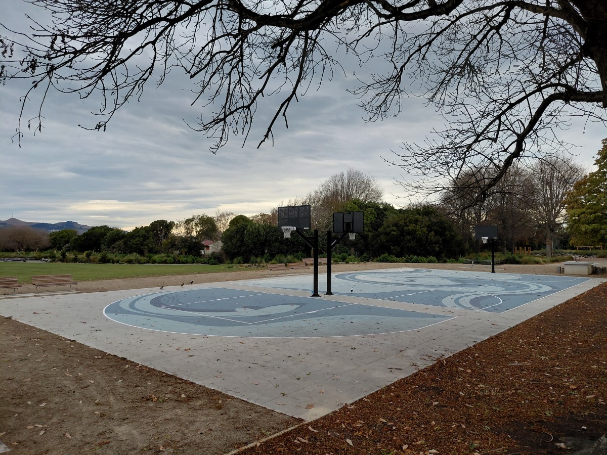 Avon Park Basketball court Eel (tuna) design