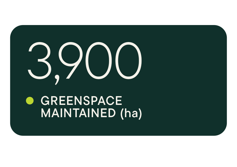 Green Space