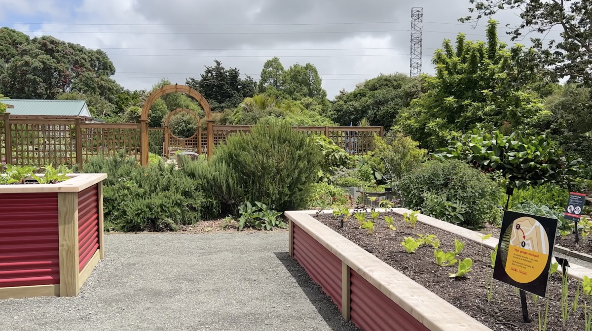 Kiwi Backyard Pic