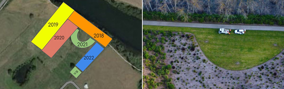 Horotiu planting plan combo web