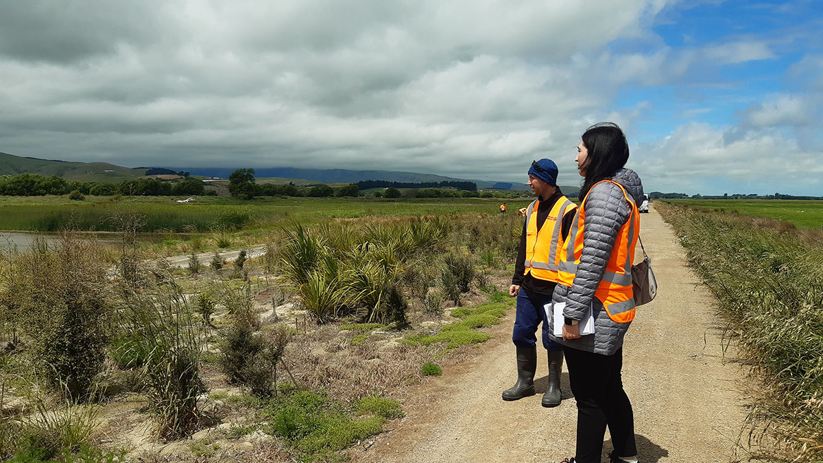 Restoring our Wetlands