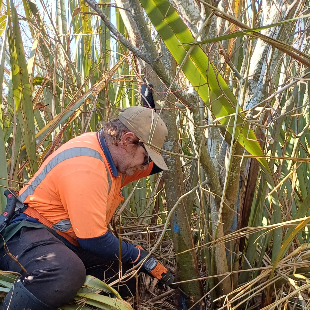 Liam Foote   Ecological Restoration 2