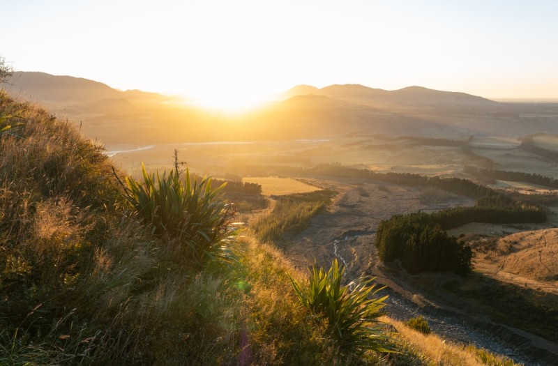 Sunrise over rolling hills and a river valley, with native harakeke/flax in the foreground and golden light across farmland.