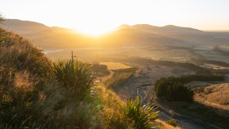 Sunrise over rolling hills and a river valley, with native harakeke/flax in the foreground and golden light across farmland.