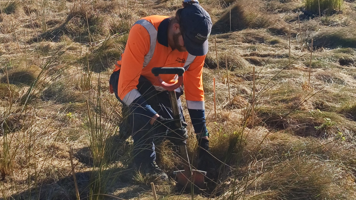 Helping Native Ecological Systems Recover and Flourish